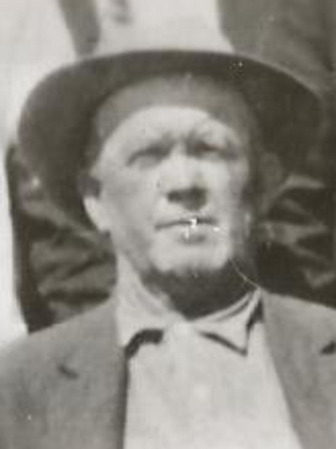Brigham James Timothy (1859 - 1950) Profile